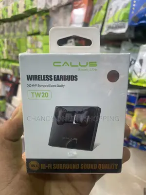 TW20 Wireless Earbuds