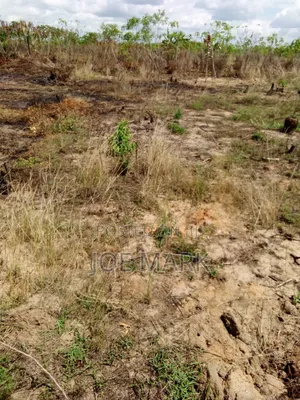 8 Acres for Sale at Kibaha Visiga