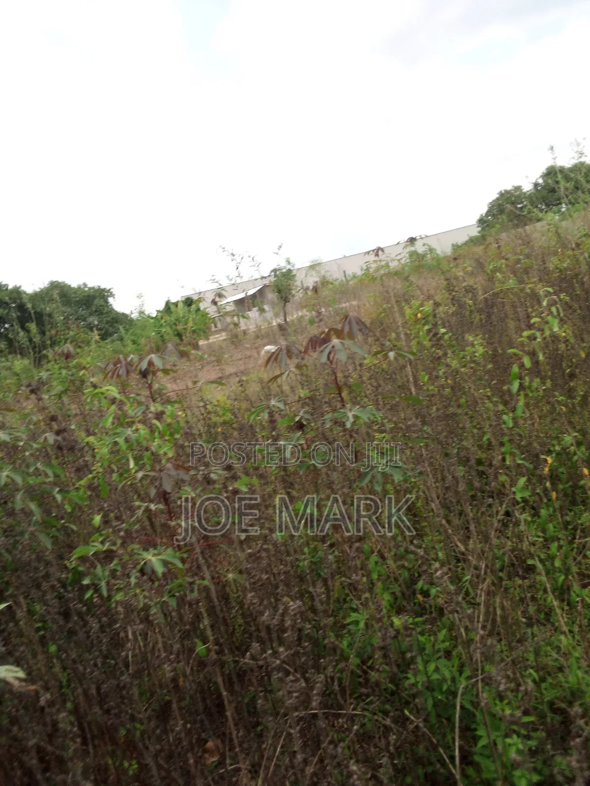 Industrial Plot at Misugusugu for Sale