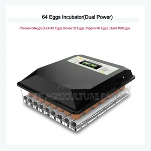 Incubator 60 Mayai Automatic