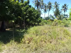 1.66 Acres Plot at Kunduchi Mtongani