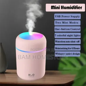 Aromatherapy Humidifier/Diffuser + Essential Oil