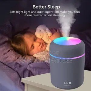Aromatherapy Humidifier/Diffuser + Essential Oil