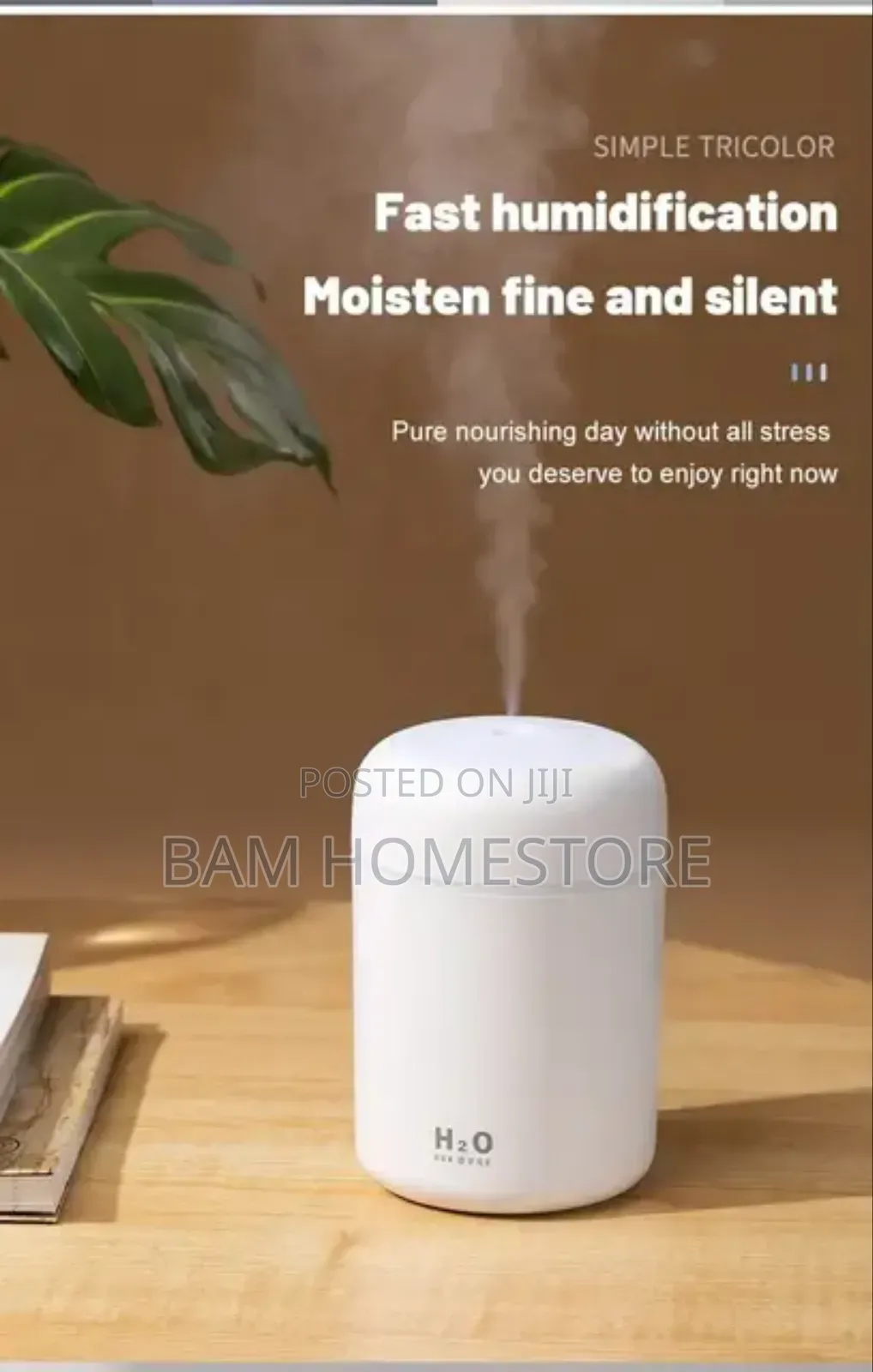 Aromatherapy Humidifier/Diffuser + Essential Oil