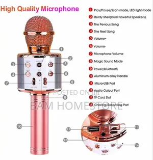 Wireless Microphone