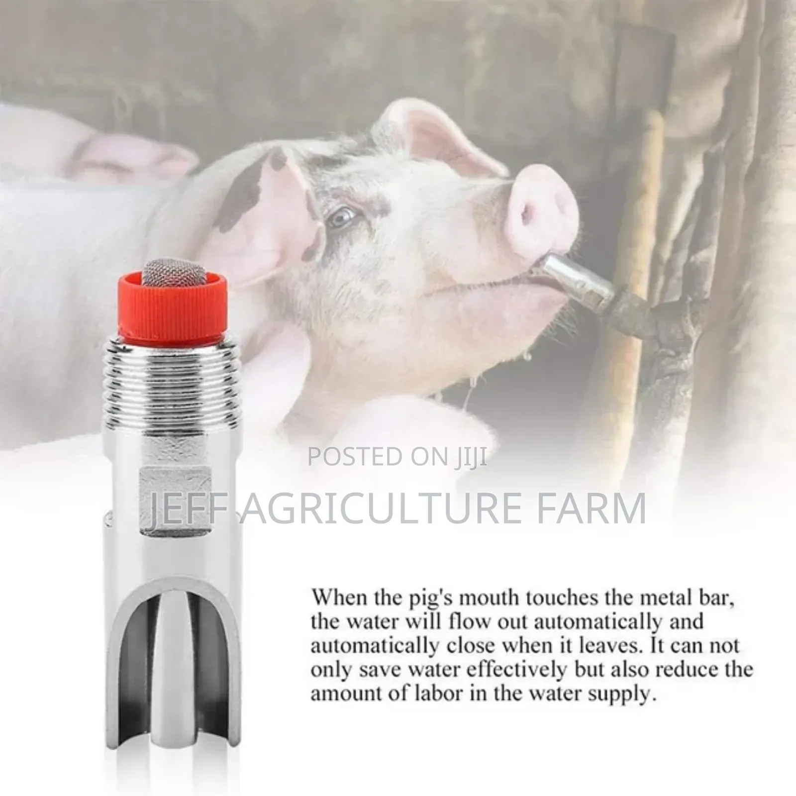 Automatic Pig Nipples 2024