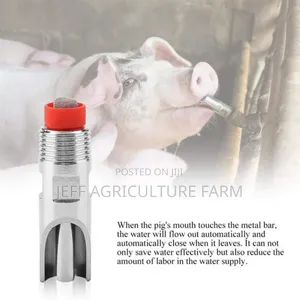 Automatic Pig Nipples 2024