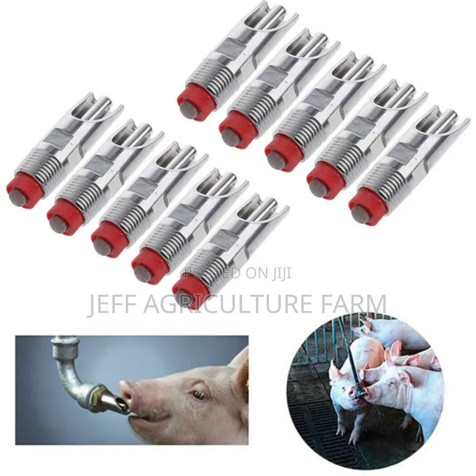 Automatic Pig Nipples 2024