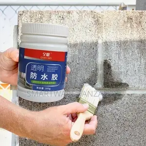 DIY Waterproofing Repair Solution For Roof, Terrace Of Homes