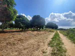 Plot for Sale Mbopo Madale