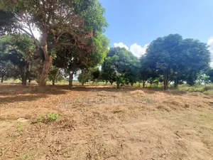 Plot for Sale Mbopo Madale