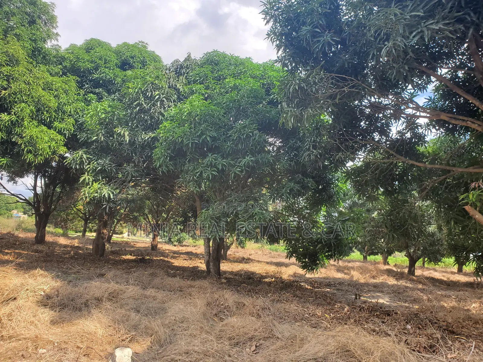 Plot for Sale Mbopo Madale