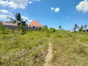 Kigamboni Kisota