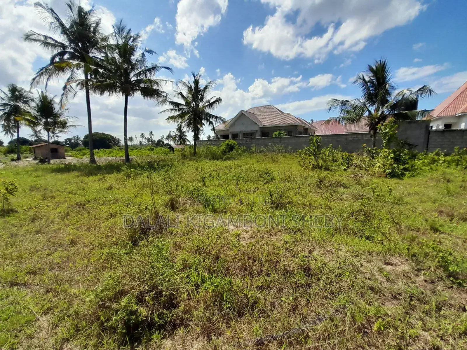Kigamboni Kisota
