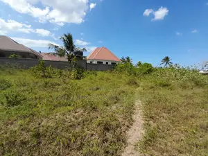 Kigamboni Kisota
