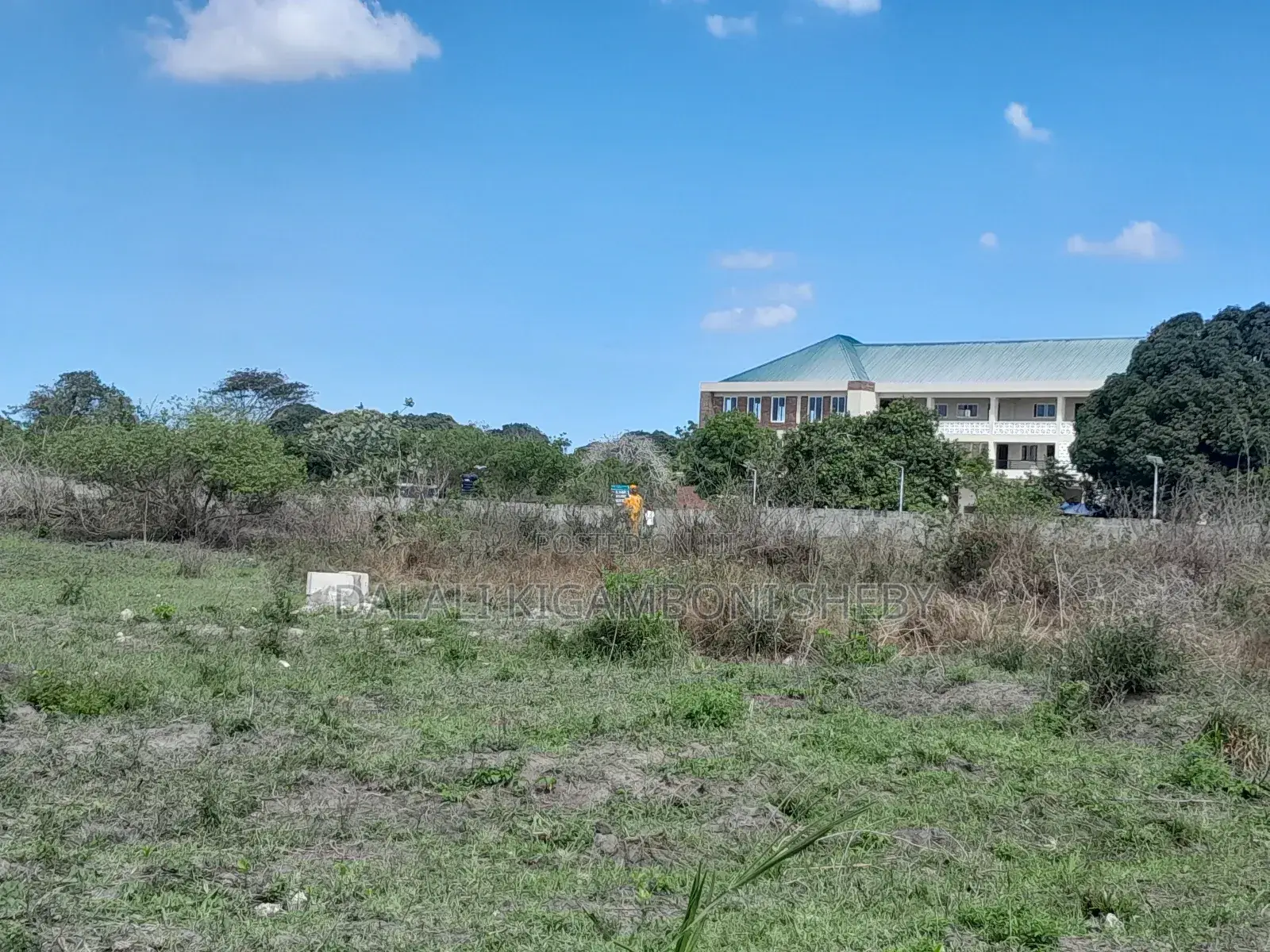 Kigamboni Kisota