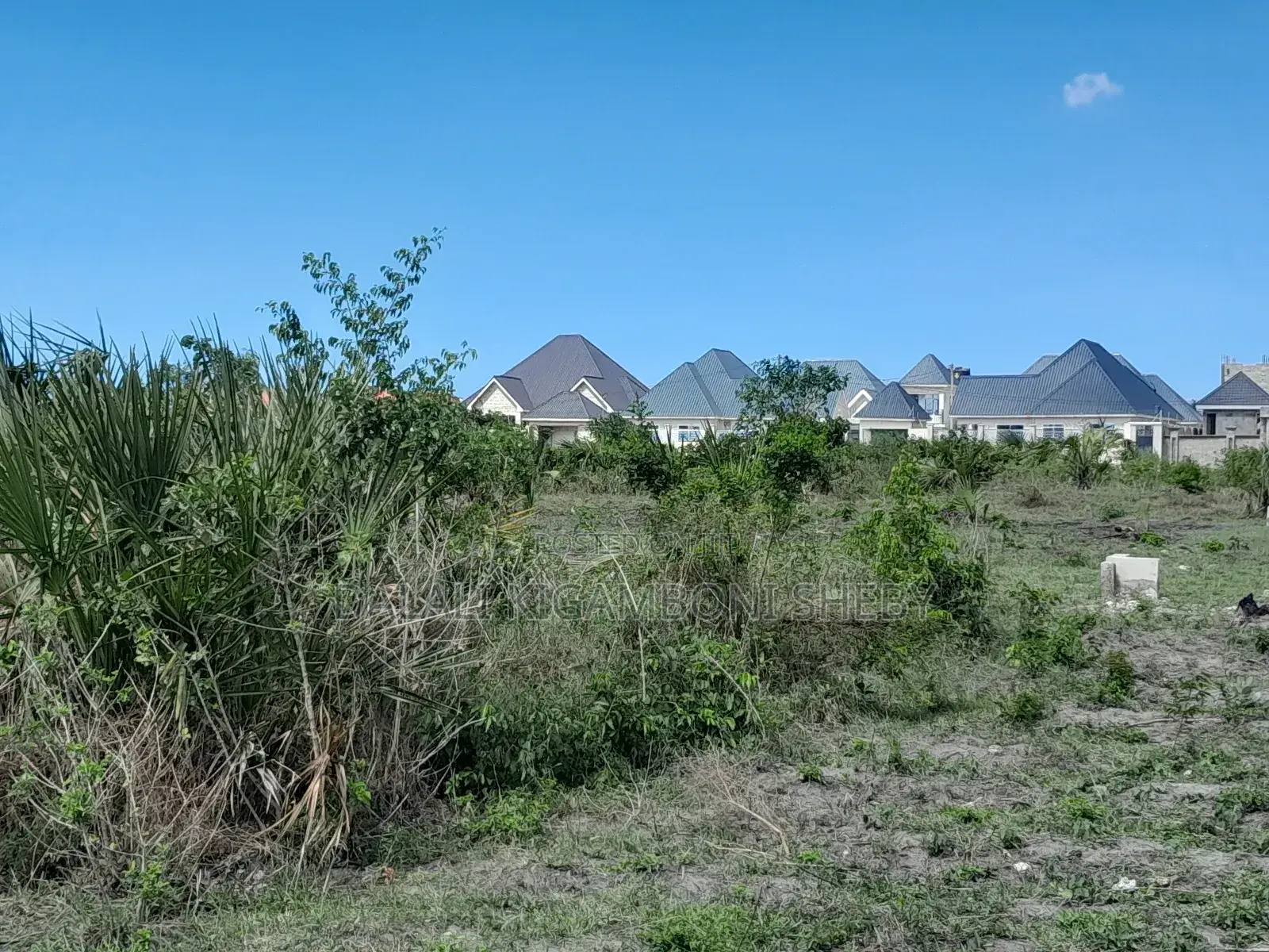 Kigamboni Kisota