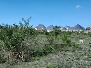 Kigamboni Kisota