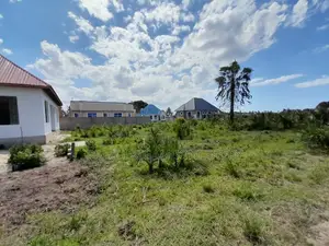 Kigamboni Kisota