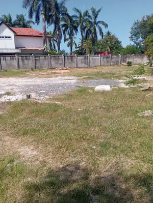 2bdrm House in Mikocheni With Big for rent