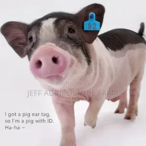 Pig,Cow,Ship Ear Tag New