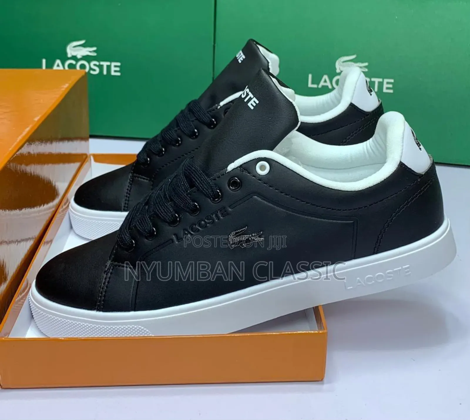 Bran New Lacoste Shoes