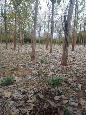 5 Acres for Sale Bagamoyo Road Mbezi Beach
