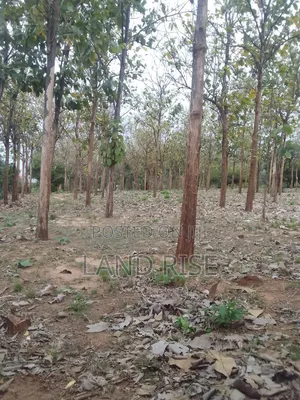 5 Acres for Sale Bagamoyo Road Mbezi Beach