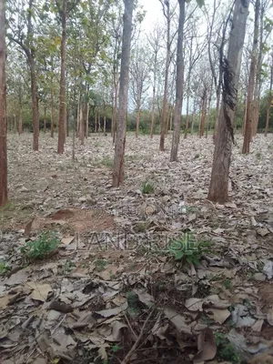 5 Acres for Sale Bagamoyo Road Mbezi Beach