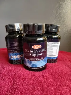 Men Fertility Support