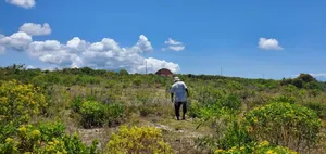 Beach Plot for Sale at Zanzibar