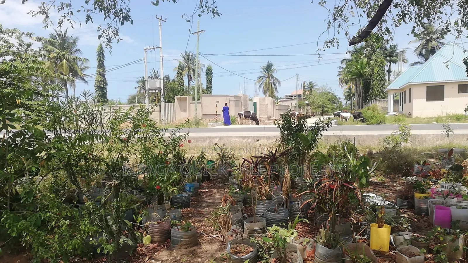 Plot for Sale Along the Main Road Mbweni JKT