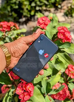 Apple iPhone XR 128 GB