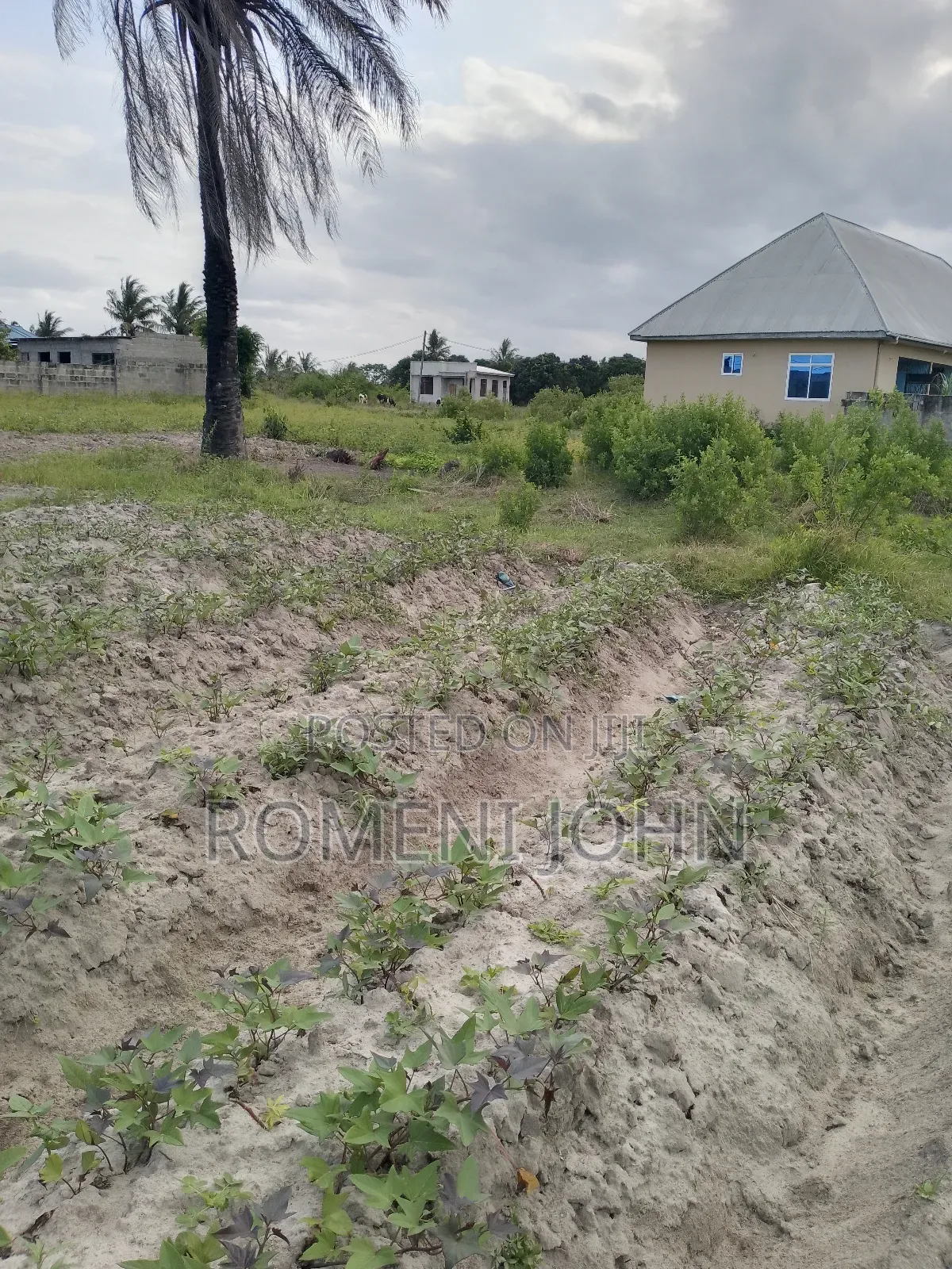 Eneo La Sqmita 800 Linauzwa Milioni 16.5 Majohe Rada.
