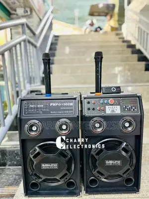 GLOBAL-STAR Super KARAOKE Speaker With 2 Mic Amplifier 1500W