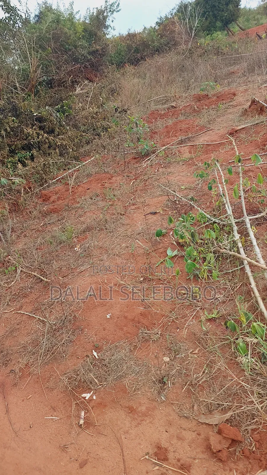 Beach Plot 3hectars at Mbezi Beach-Kidimbwi