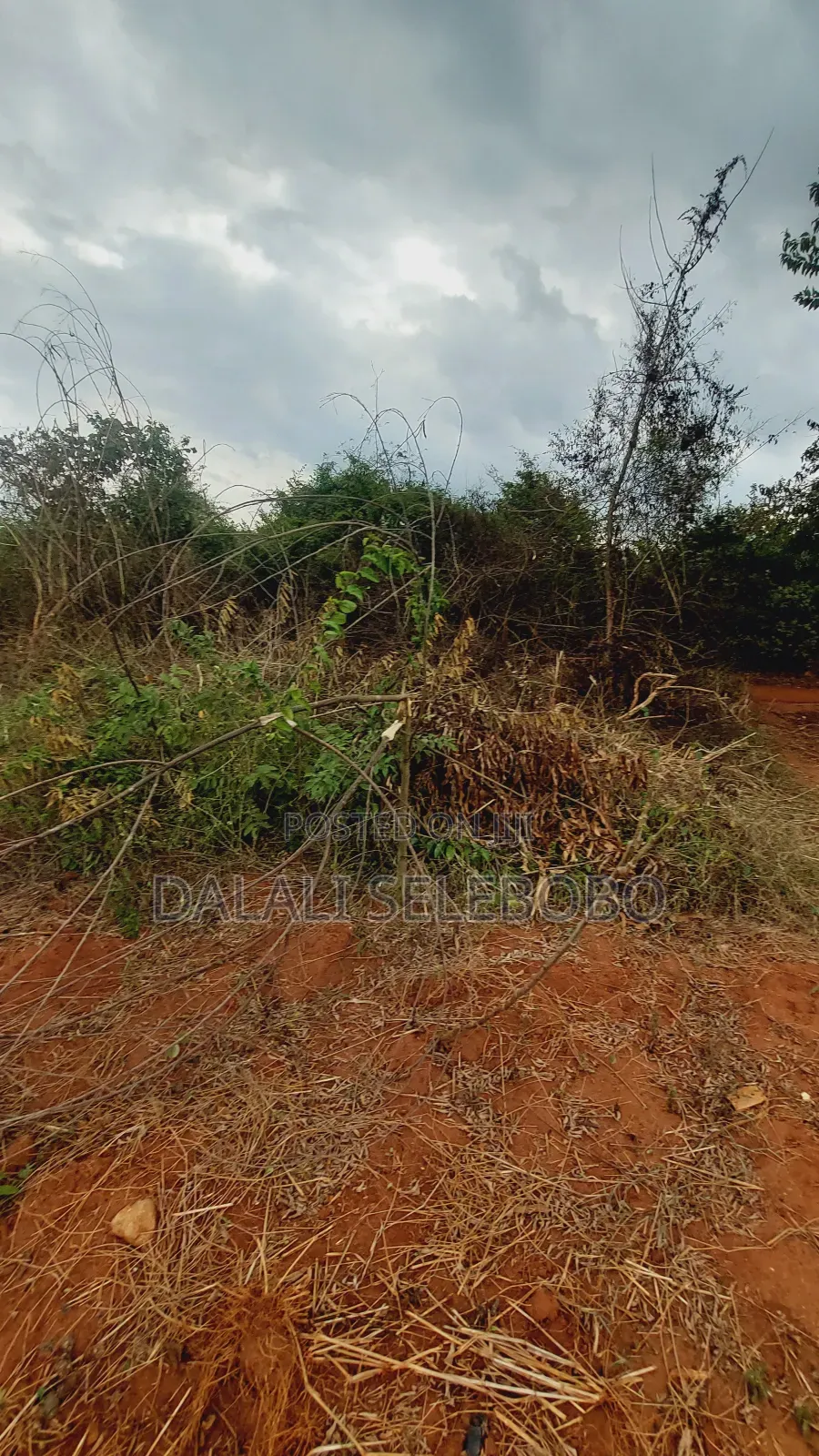 Beach Plot 3hectars at Mbezi Beach-Kidimbwi
