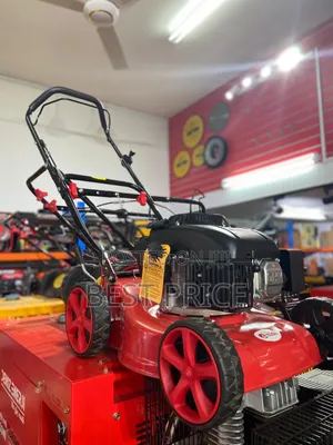 Edon Gasoline Lawnmower Ed-Xym158-1b