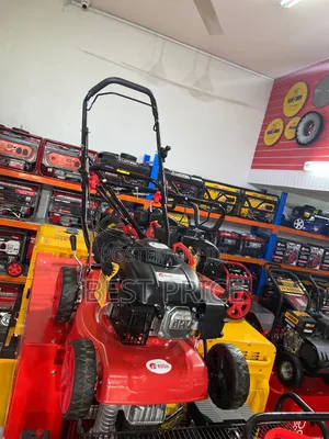 Edon Gasoline Lawnmower Ed-Xym158-1b