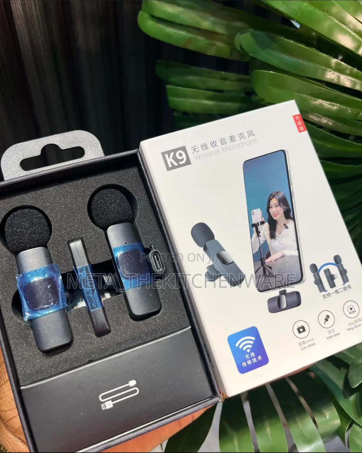 Wireless Microphone for Video Records