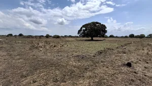 Eneo La Viwanda Linauzwa Bagamoyo