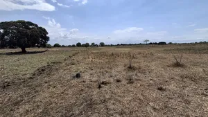 Eneo La Viwanda Linauzwa Bagamoyo