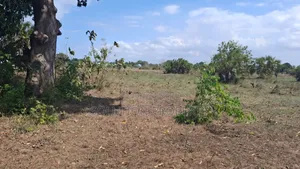 Plot For Sale At Bagamoyo