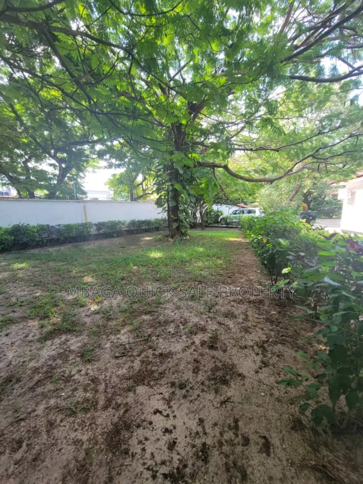 4bdrm House in Mikocheni for rent