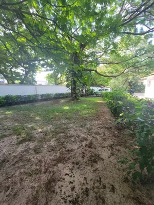 4bdrm House in Mikocheni for rent