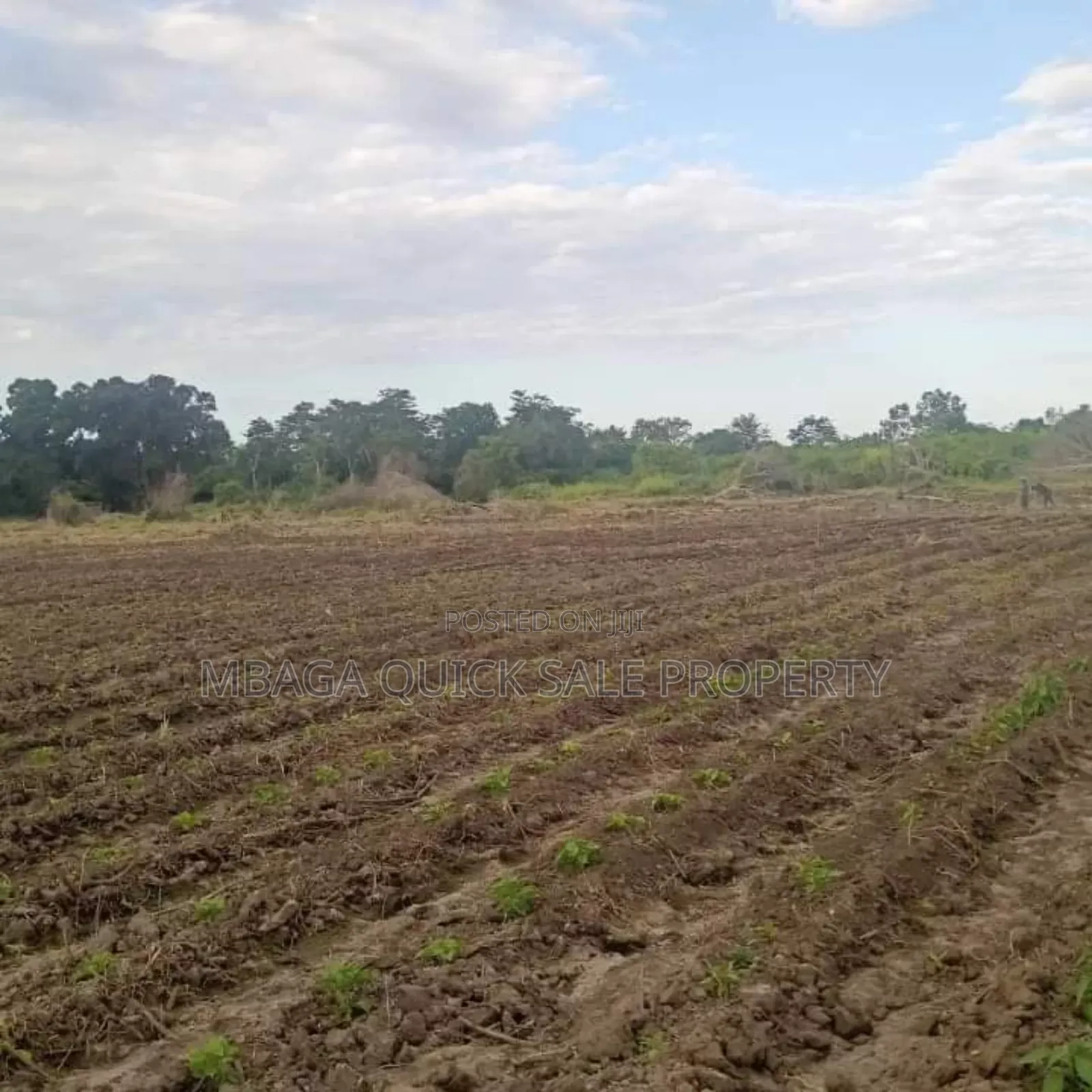 Farm Along the River With 184 Acres at Bagamoyo Wami River