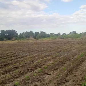 Farm Along the River With 184 Acres at Bagamoyo Wami River