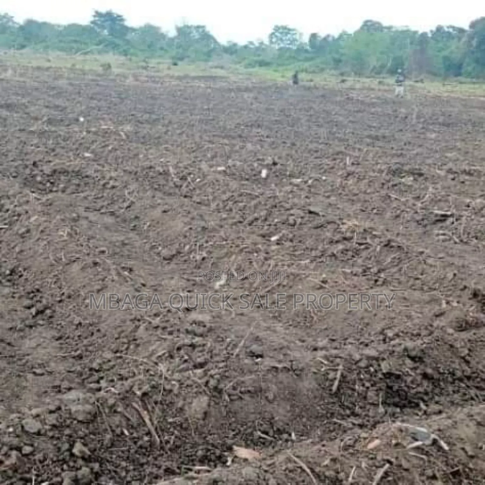 Farm Along the River With 184 Acres at Bagamoyo Wami River