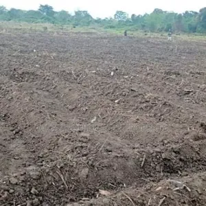 Farm Along the River With 184 Acres at Bagamoyo Wami River
