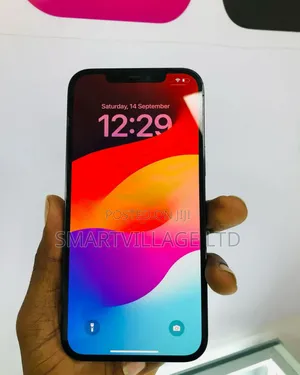Apple iPhone 12 Pro Max 256 GB Blue